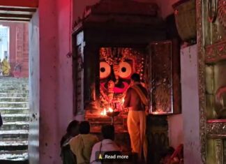 Take Blessings of Lord PatitaPabana while watching Door Opening at Sri Jagannatha temple